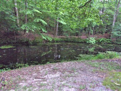 Pond