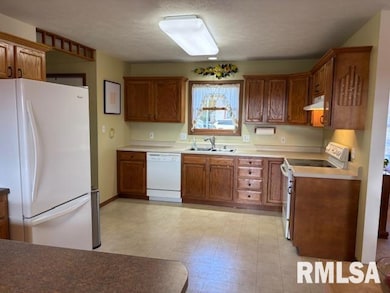 710 W Dean St, Virden, IL 62690 - photo 7