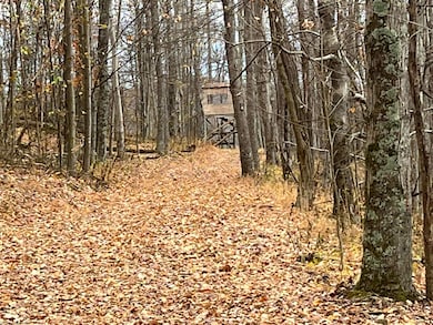 000 Crawford Rd, Crawford, WV 26343 - photo 4