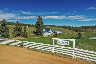 3579 County Road 42, Florissant, CO 80816 - photo 6