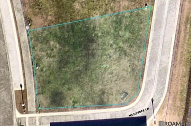 2844 Pointe-Marie Dr, Baton Rouge, LA 70820 - photo 2