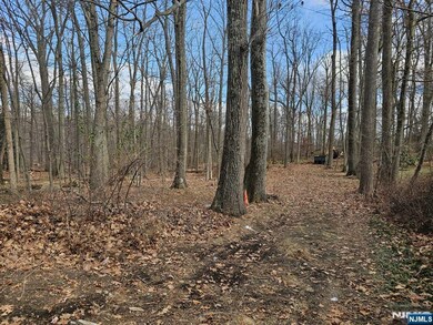 34 Starlight Dr, Morristown, NJ 07960 - photo 3