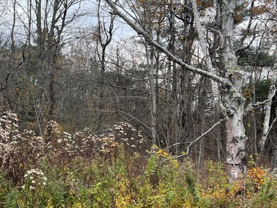 image_6487327 (3)