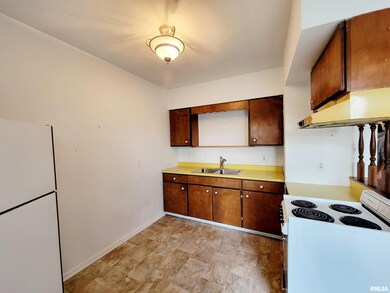 410 Frorer Ave unit 2, Lincoln, IL 62656 - photo 5