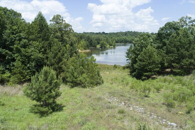 00 Spring Lake Cove, Oxford, MS 38655 - photo 5