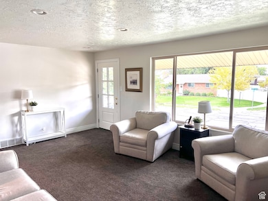 Living room with carpet flooring and a textured ceiling