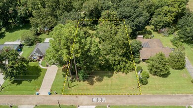 302 Mitze Dr Drone-3