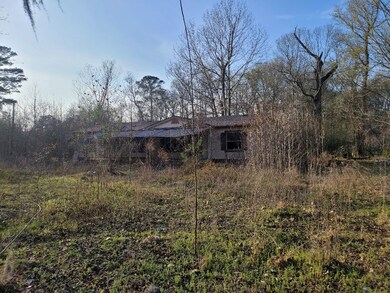 13891 Mcgregor Rd, Conroe, TX 77302 - photo 3