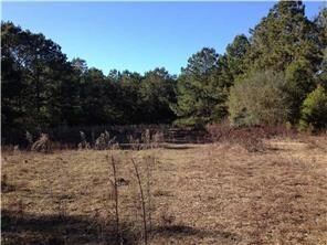 0 Otto Passman Rd, Franklinton, LA 70438 - photo 3