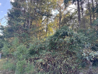 000 Quattlebaum Ave, Ridge Spring, SC 29129 - photo 4