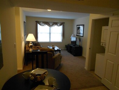 80 Sentinel Ct unit L08, Manchester, NH 03103 - photo 5