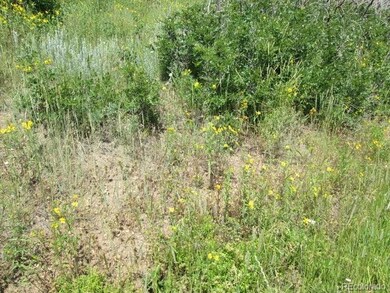 Lot 32 Raspberry Mountain Ranch unit 32, La Veta, CO 81055 - photo 4