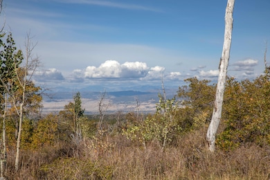451 Birdsong Ln, Montrose, CO 81403 - photo 2
