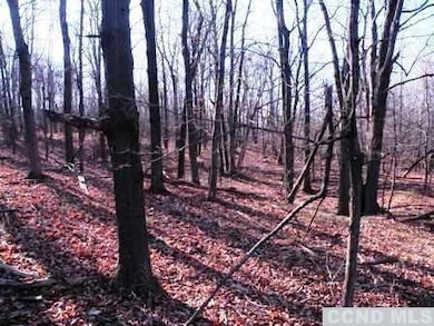 0 Benton Rd unit 88019, Gallatin, NY 12523 - photo 2