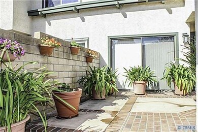 Lush Entry