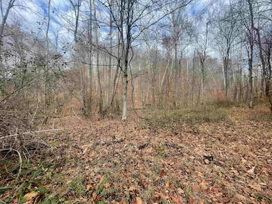 TBD Sand Fork Rd, Walkersville, WV 26447 - photo 6