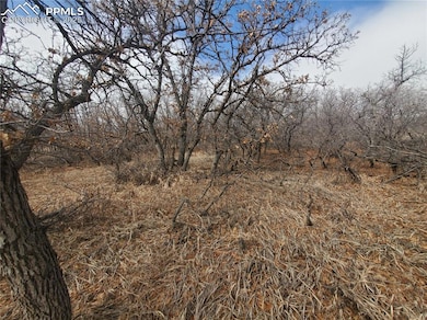 0 Thacker Rd unit 8608664, Colorado City, CO - photo 5