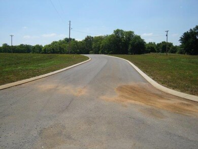 202 Honeysuckle Ln, Shelbyville, TN 37160 - photo 2