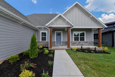 930 E Downshire Dr, Nixa, MO 65714 - photo 6