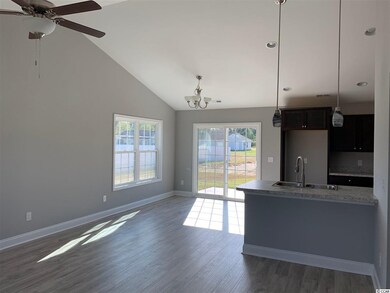 100 Pumpkin Ash Loop, Conway, SC 29527 - photo 2