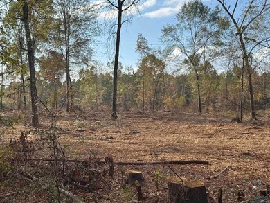 Lot 1 TBD County Road 4108, Henderson, TX 75654 - photo 4