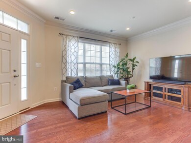 23504 Belvoir Woods Terrace, Ashburn, VA 20148 - photo 4