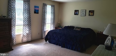 201 Frederick Dr, Centreville, MD 21617 - photo 6