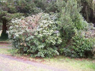 7290 N Fork Rd, Florence, OR 97439 - photo 4
