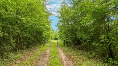 SpringGrove.NicoleBurbagePhoto14
