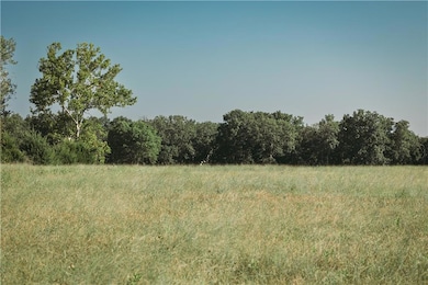 View of local wilderness featuring a rural view