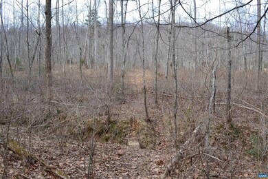 0 Walnut Branch Ln, North Garden, VA 22959 - photo 7