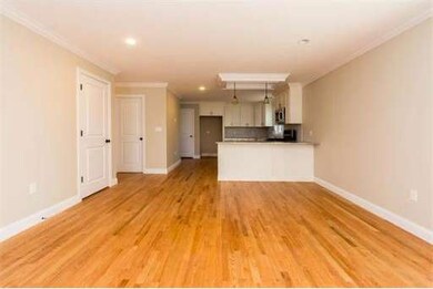 12 Van Vechten St, Waltham, MA 02452 - photo 4