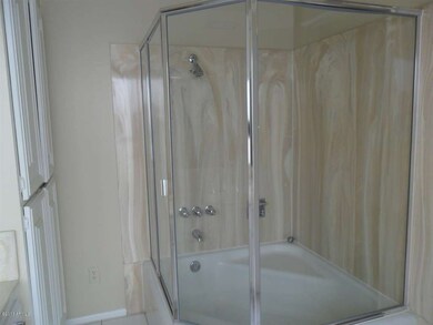 Master Shower