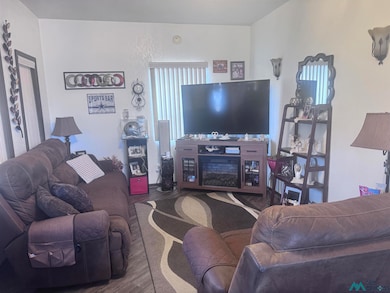 513 N Guadalupe St, Carlsbad, NM 88220 - photo 3