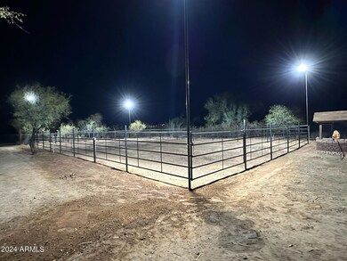 arena night