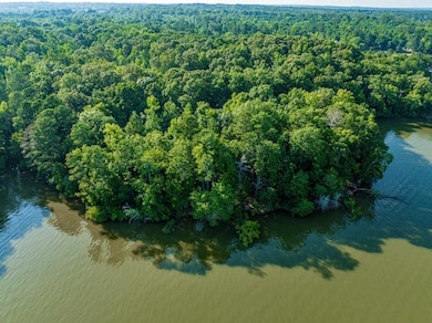 11.48 +/- ACRES Grayson Pointe Dr, Buckhead, GA 30625 - photo 7