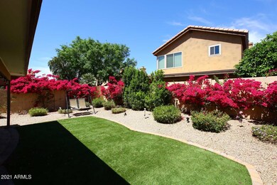 Backyard2