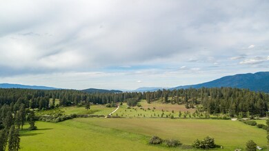 Finley Point 12