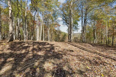 Tract 7 Sheep Ranch Rd, Robbins, TN 37852 - photo 5