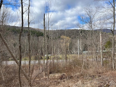 0 Route 23a unit 20253899, Lexington, NY 12452 - photo 3