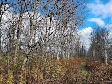 0 New York 294, Boonville, NY 13309 - photo 2