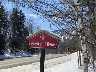 41 Birch Hill Rd unit Bur Oak 3, Winhall, VT 05340 - photo 2