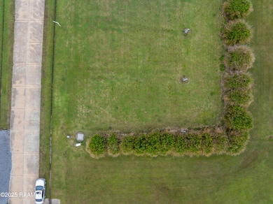 Lot 65