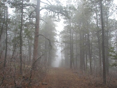 0 Gallinas Pkwy unit E17 24-248, Trinidad, CO 81082 - photo 4