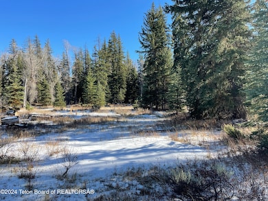 250 E Phelps Canyon Rd, Jackson, WY 83001 - photo 7