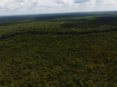 TBD Gunboat Landing Rd, Maurepas, LA 70449 - photo 7