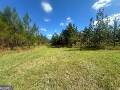 0 Tram Rd, Sylvania, GA 30467 - photo 6