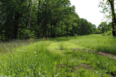 12641 Oak Grove Rd, Winslow, AR 72959 - photo 3