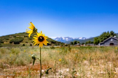 531 N Waters Edge Rd, Midway, UT 84049 - photo 4