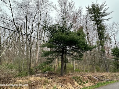 0 Pond Hill Mountain Rd unit 25-171, Wapwallopen, PA 18660 - photo 6